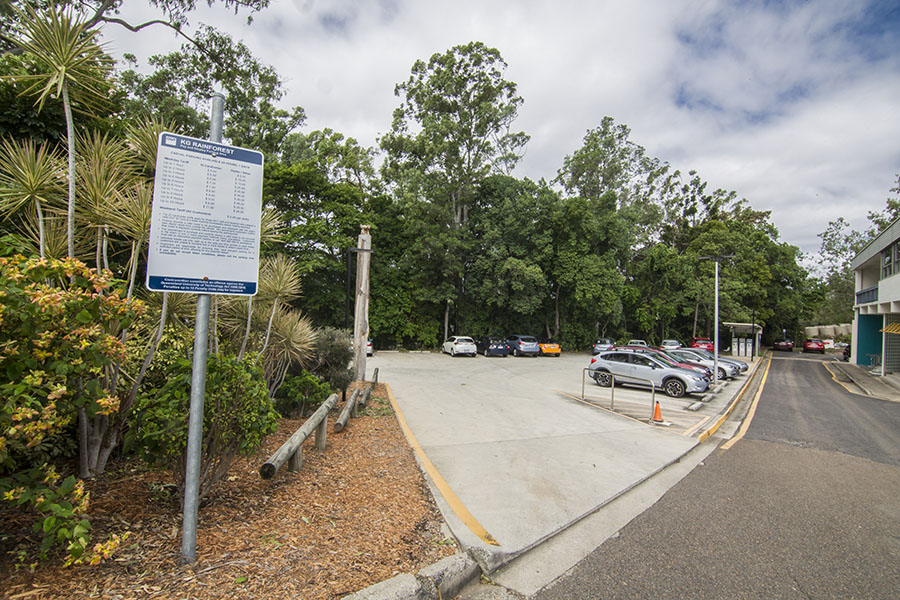 Photo of Rainforest parking
